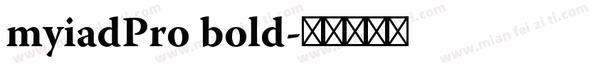 myiadPro bold字体转换